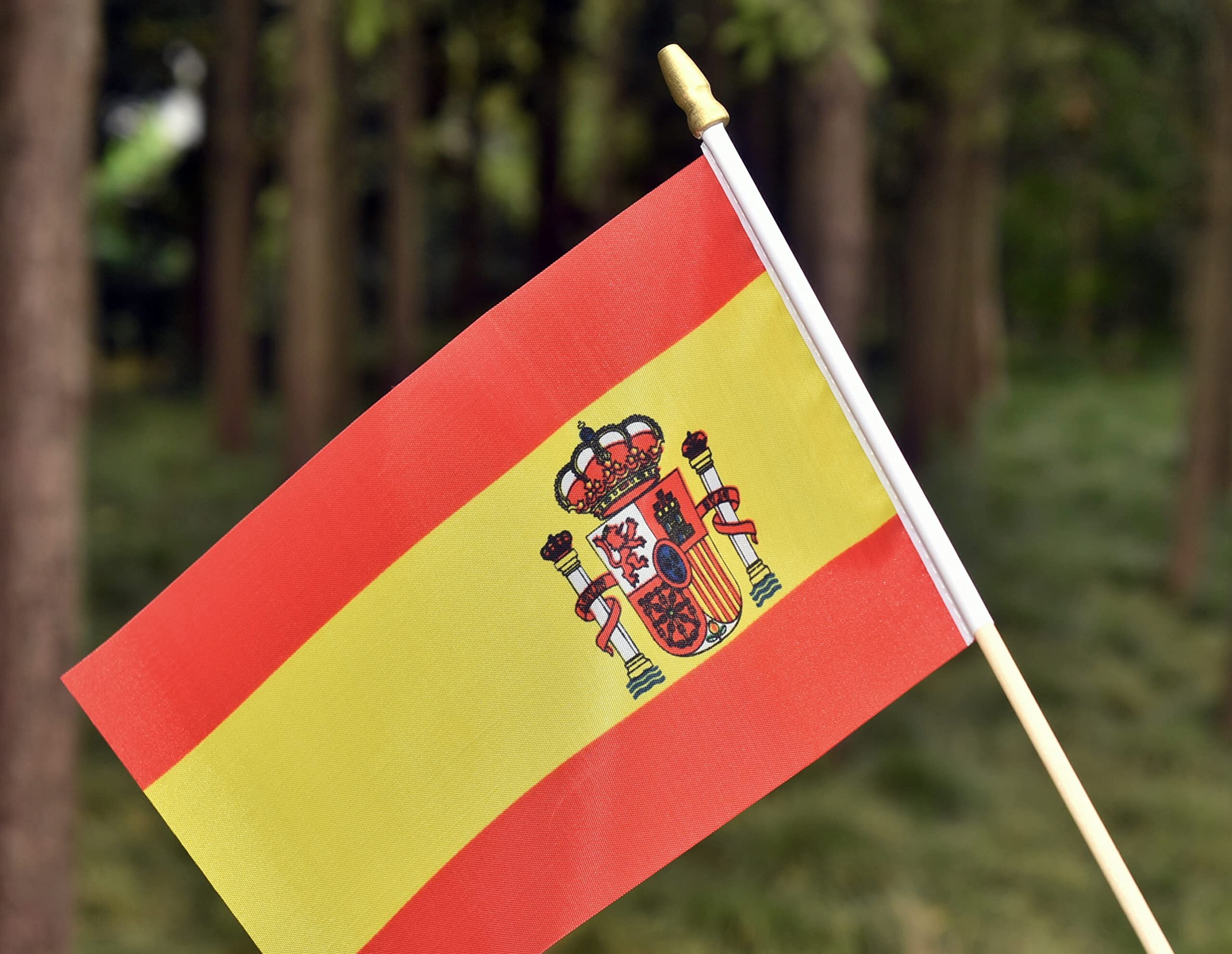 Ckexin Mini Spanish Flags pack and sticks