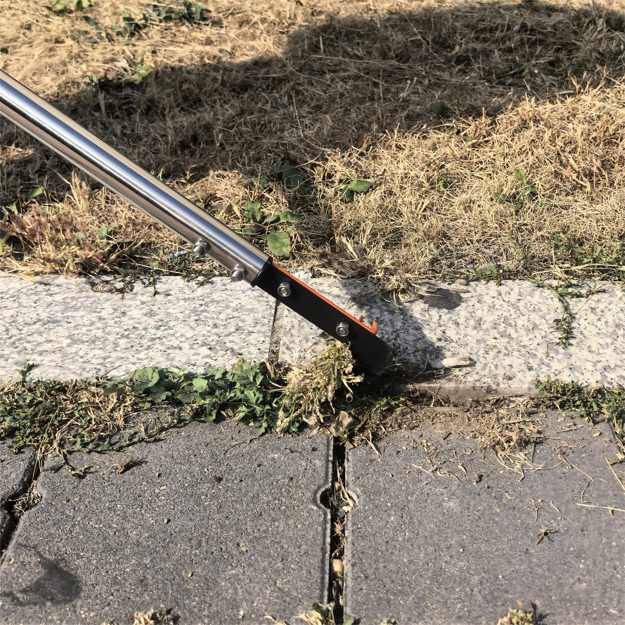 CKLT Crack Weeder in garden setting