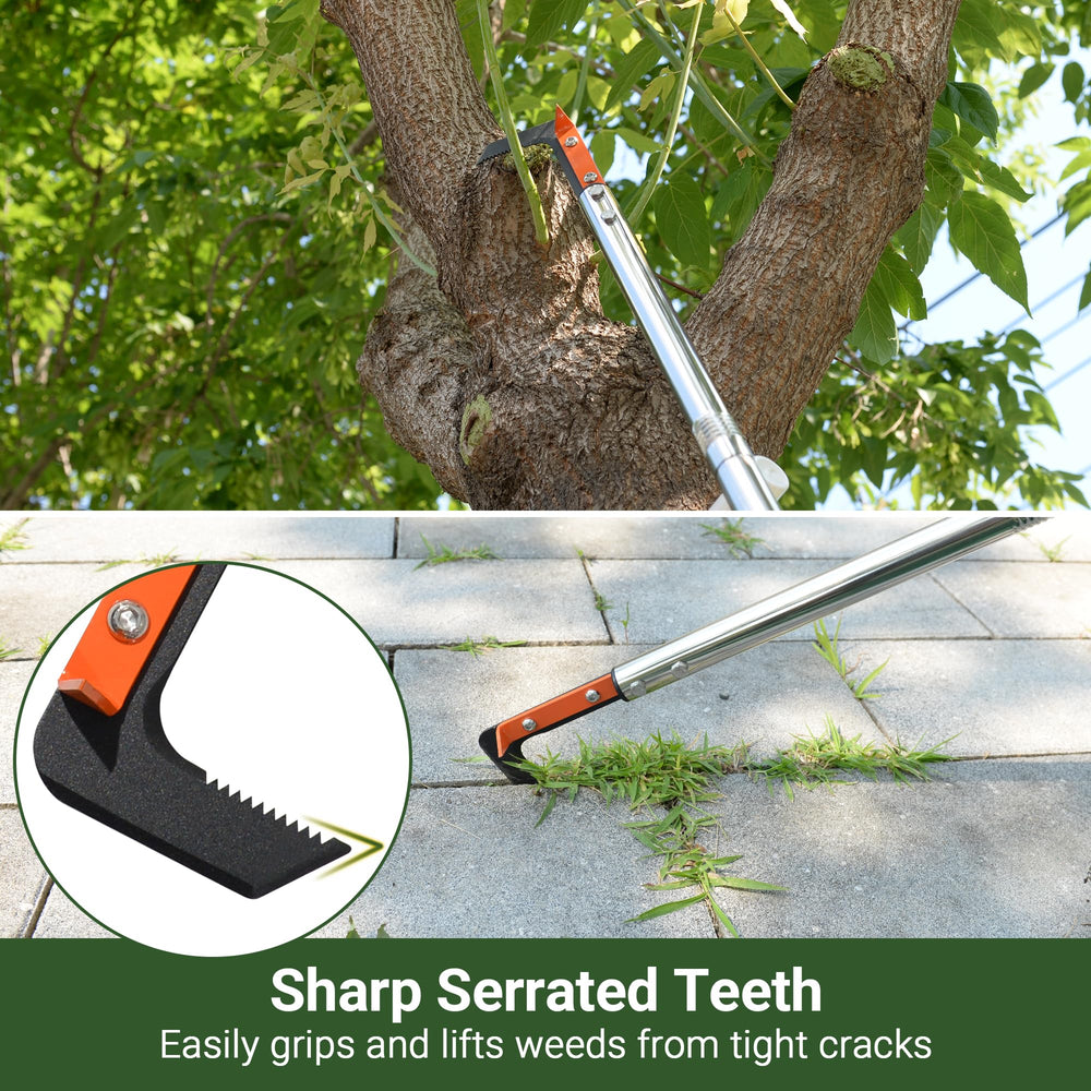 CKLT Crack Weeder serrated spring steel blade