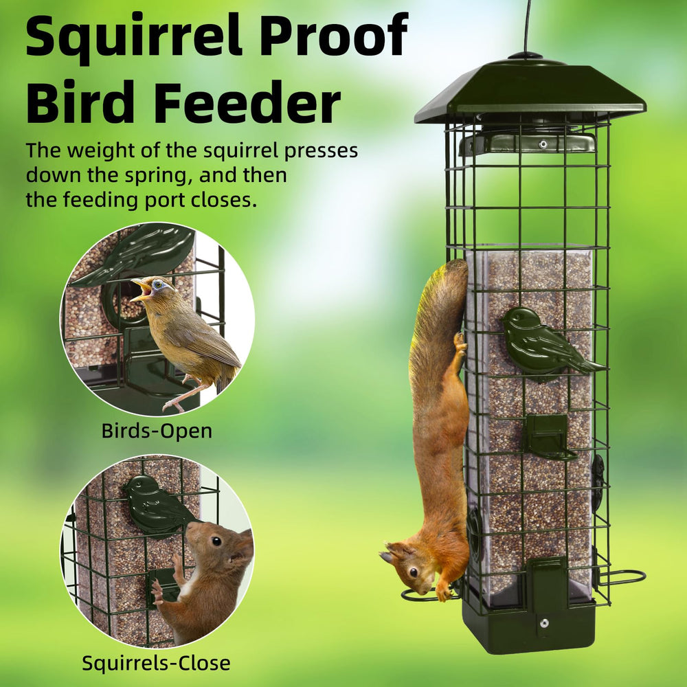 Ckoytals Squirrel Proof Bird Feeder with transparent bucket