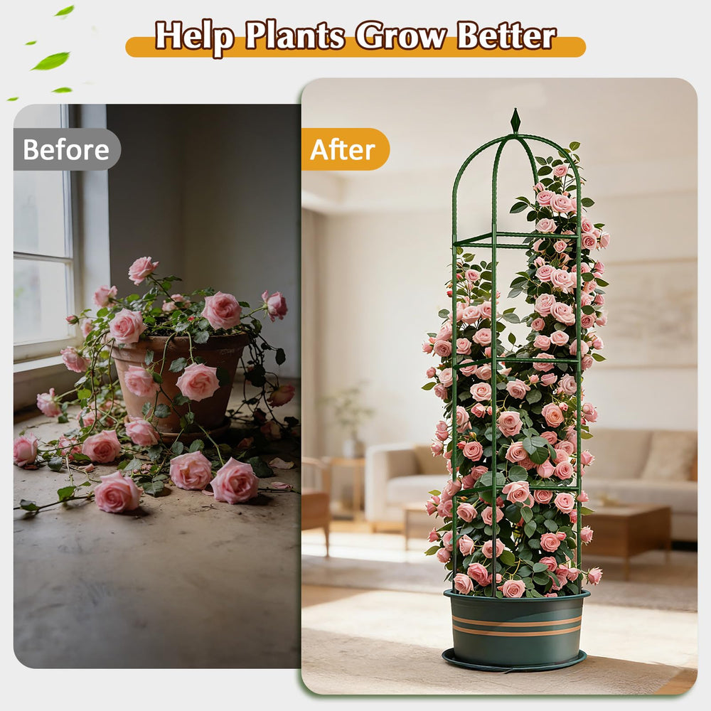 CL FUN Garden Trellis demonstrating sturdy metal construction