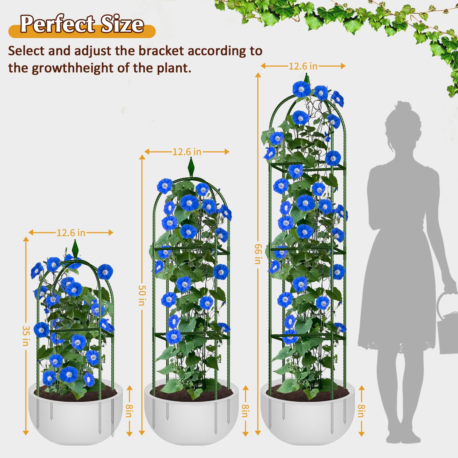 CL FUN Garden Trellis showcasing climbing roses