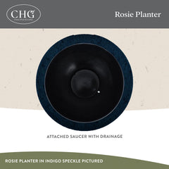 Classic Home & Garden Rosie Modern Planter with small plant inside