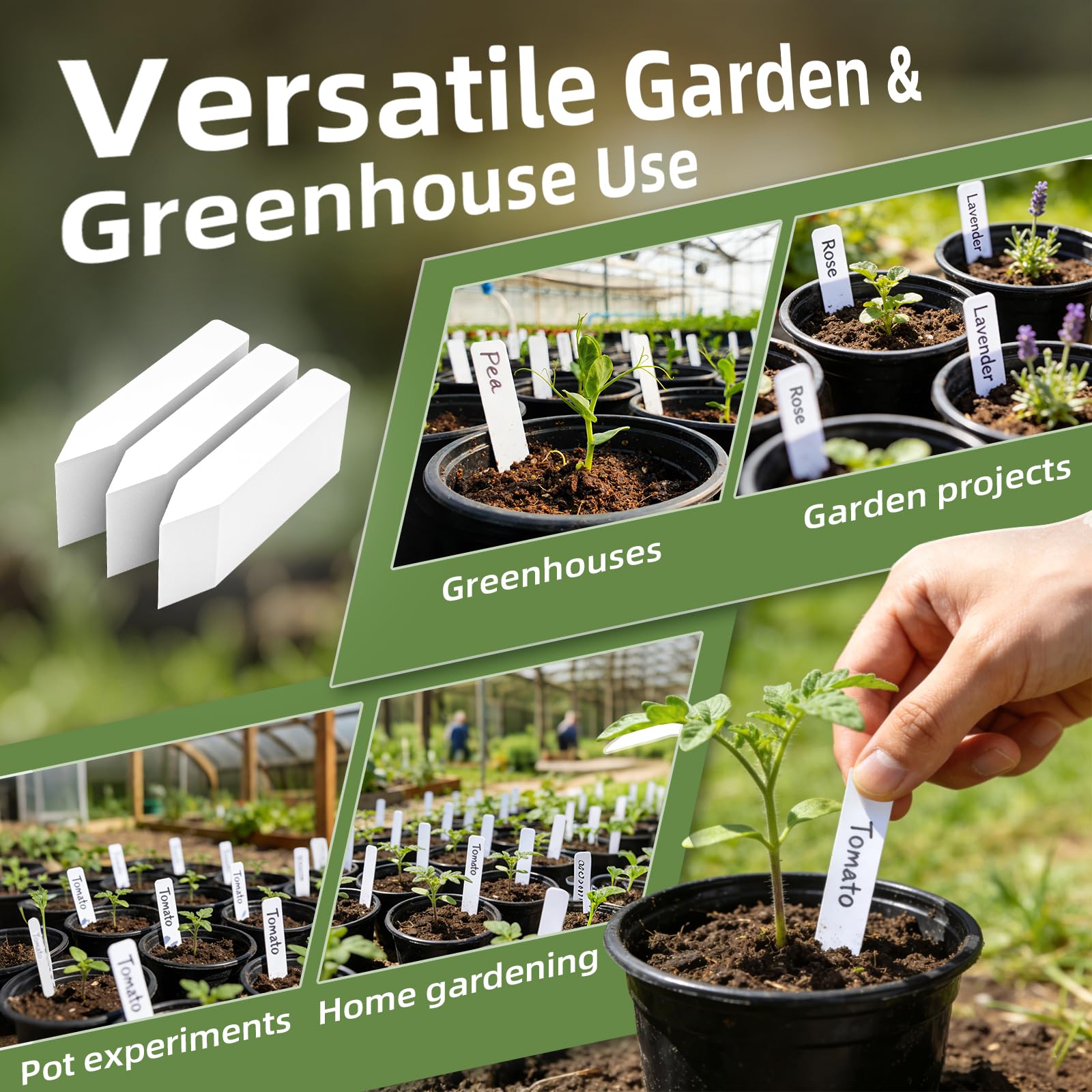 CLEANGOR plant labels with different plant types