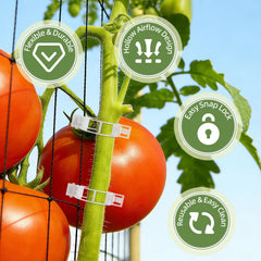 CLEANGOR Plant Support Clip attached to a tomato plant