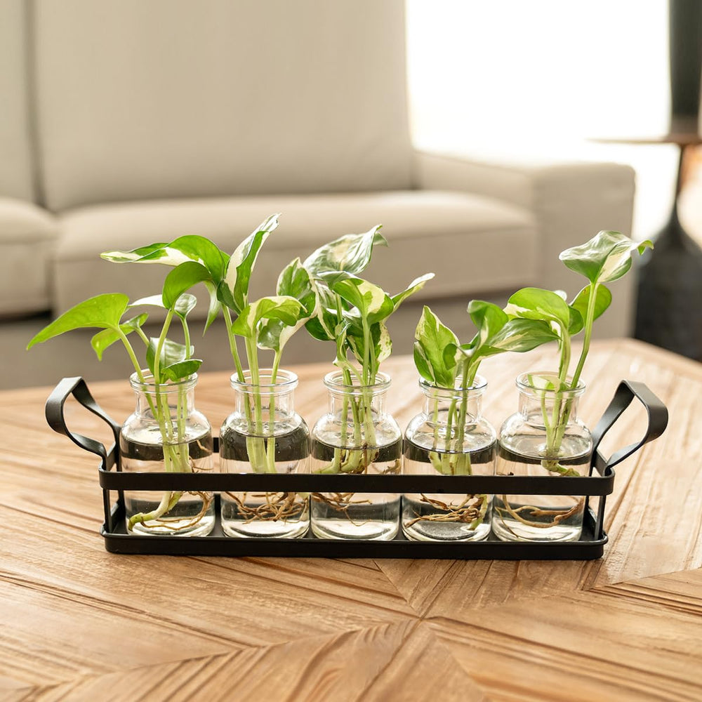 Cleaning brush included with Mkono propagation station