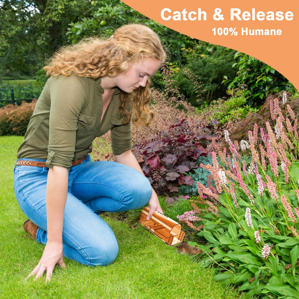 Cleaning brush included with Wanqueen mouse traps package