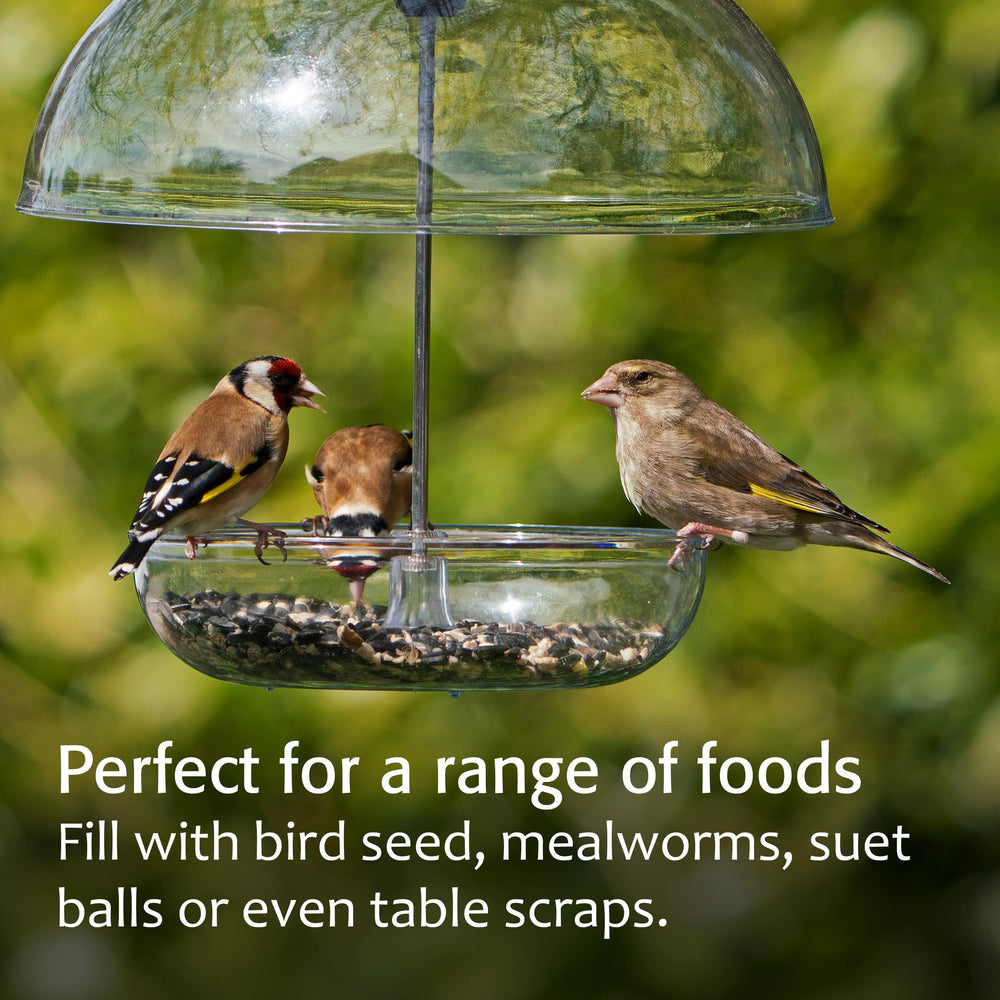 Clear dome of Jacobi Jayne Mealworm Feeder protecting food