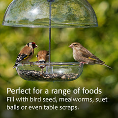 Clear dome of Jacobi Jayne Mealworm Feeder protecting food