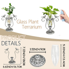 Clear glass tube of POXOHO Plant Propagation Station filled with plant cuttings