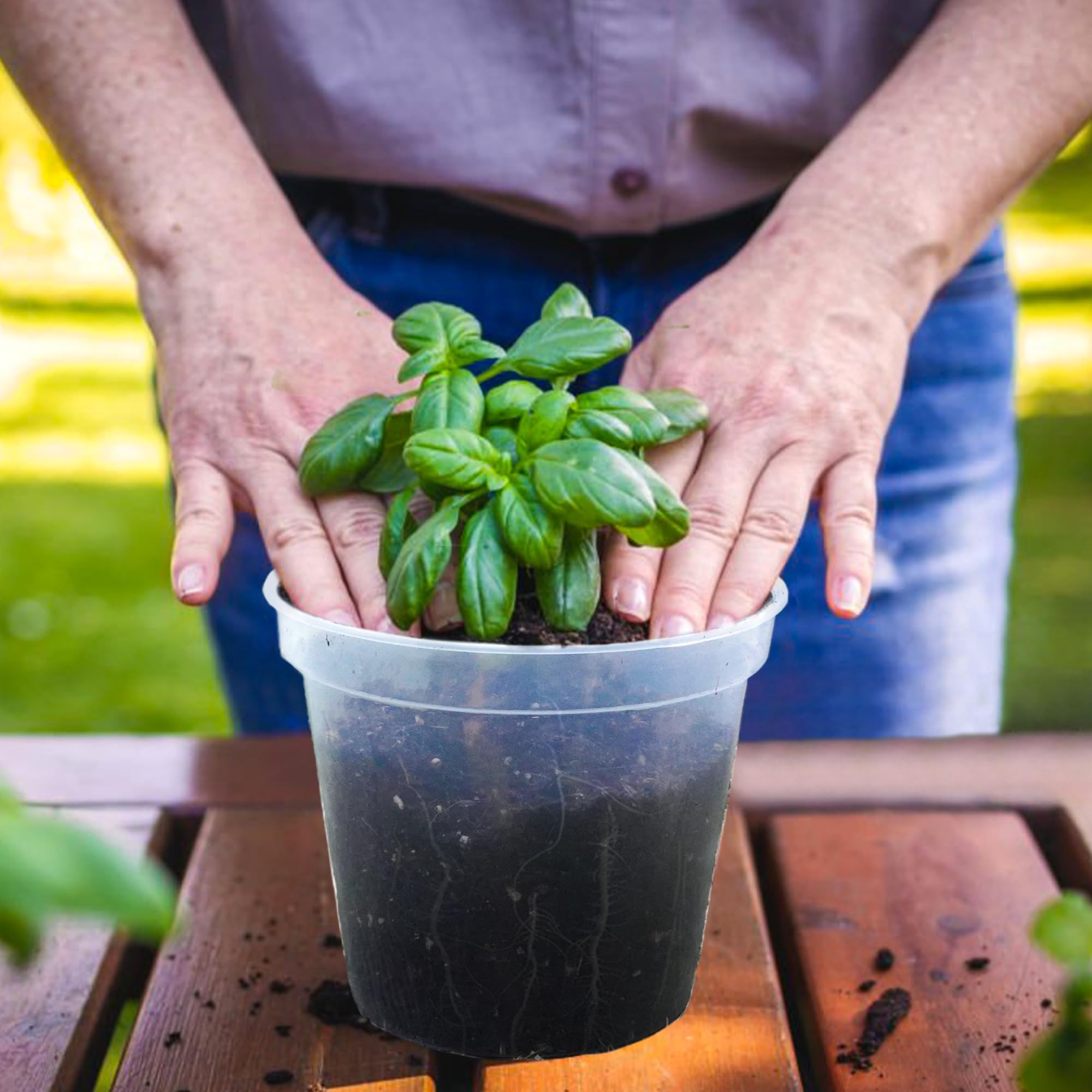 Clear nursery pots arranged for gardening use