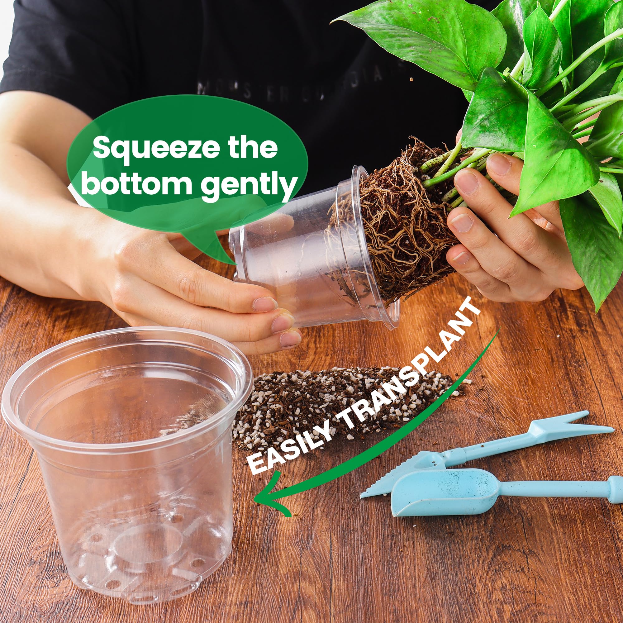 Clear nursery pots showing root development