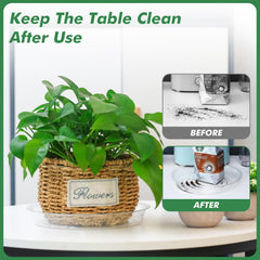Clear plant saucer with a potted plant on top