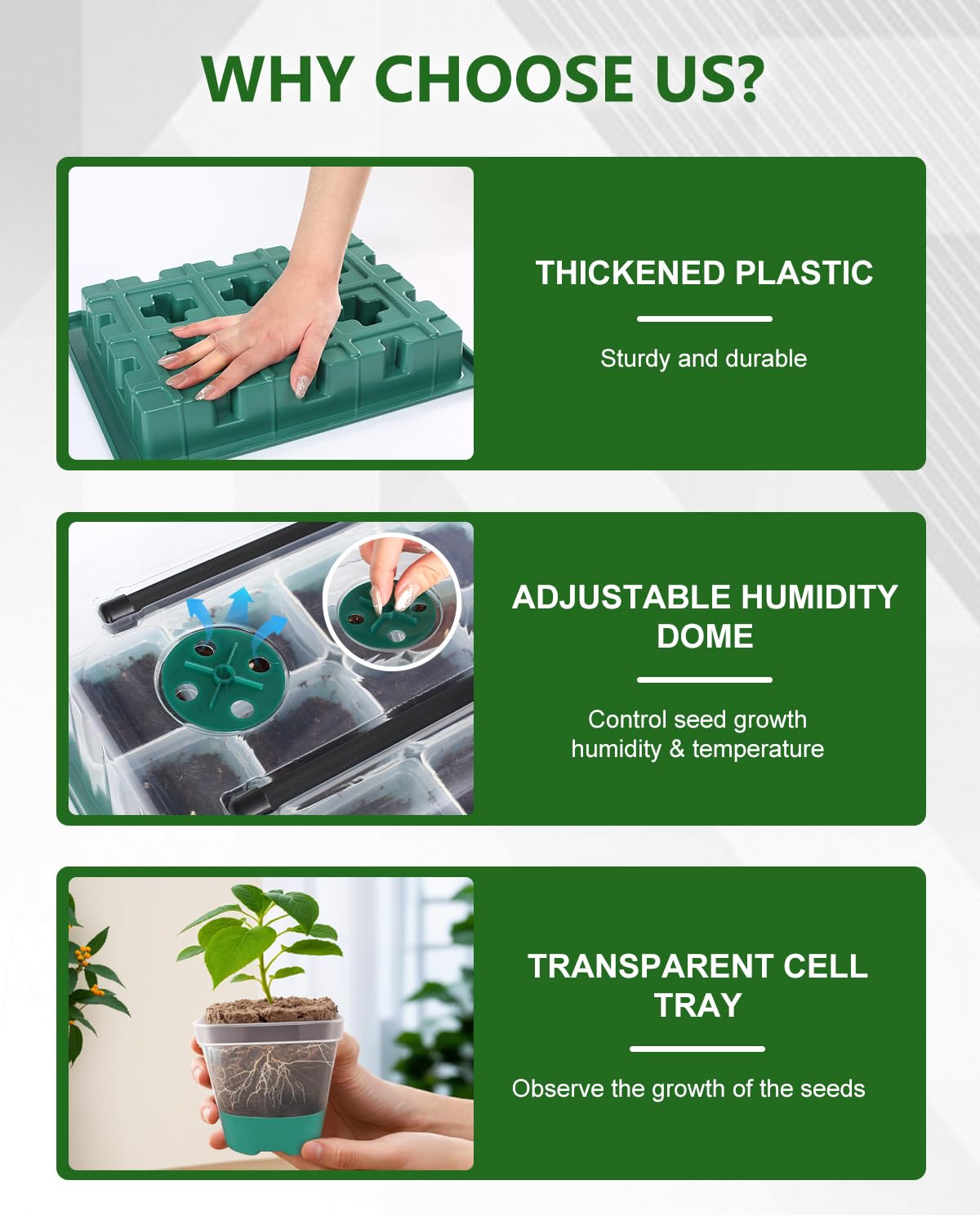 Clear planters with silicone bases for easy transplanting