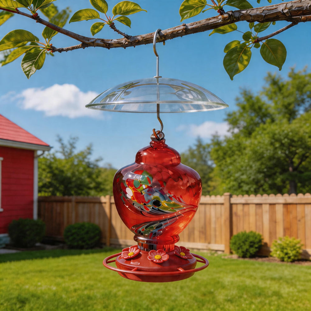 Clear plastic rain cover for small bird feeders