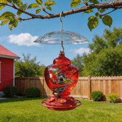Clear plastic rain cover for small bird feeders