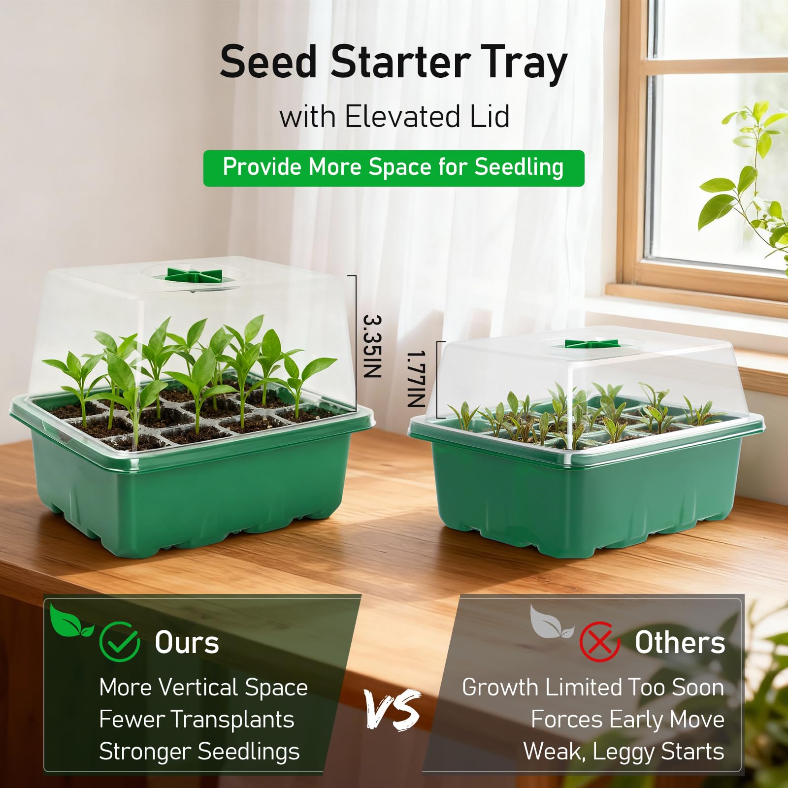 Clear plastic seed starter tray showing seedlings