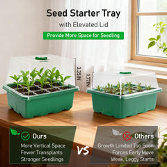 Clear plastic seed starter tray showing seedlings