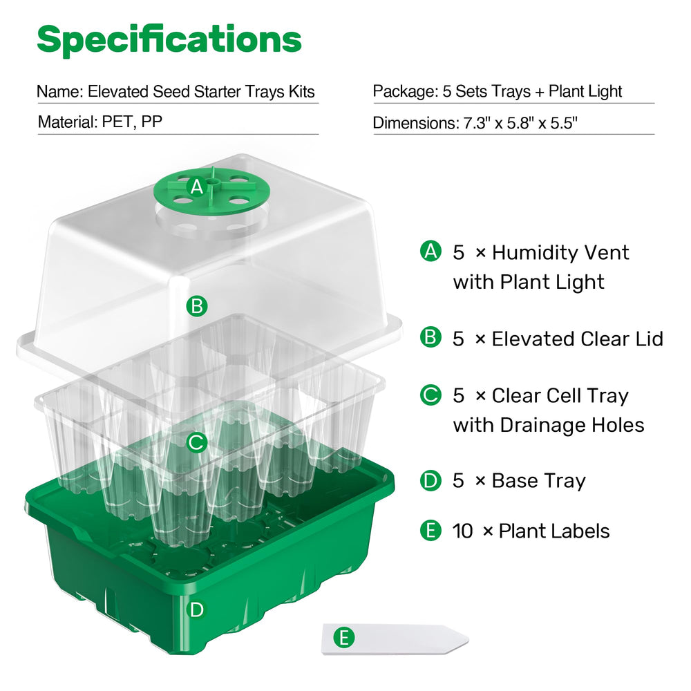 Clear seedling tray showing plant roots and soil