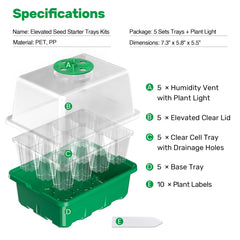 Clear seedling tray showing plant roots and soil