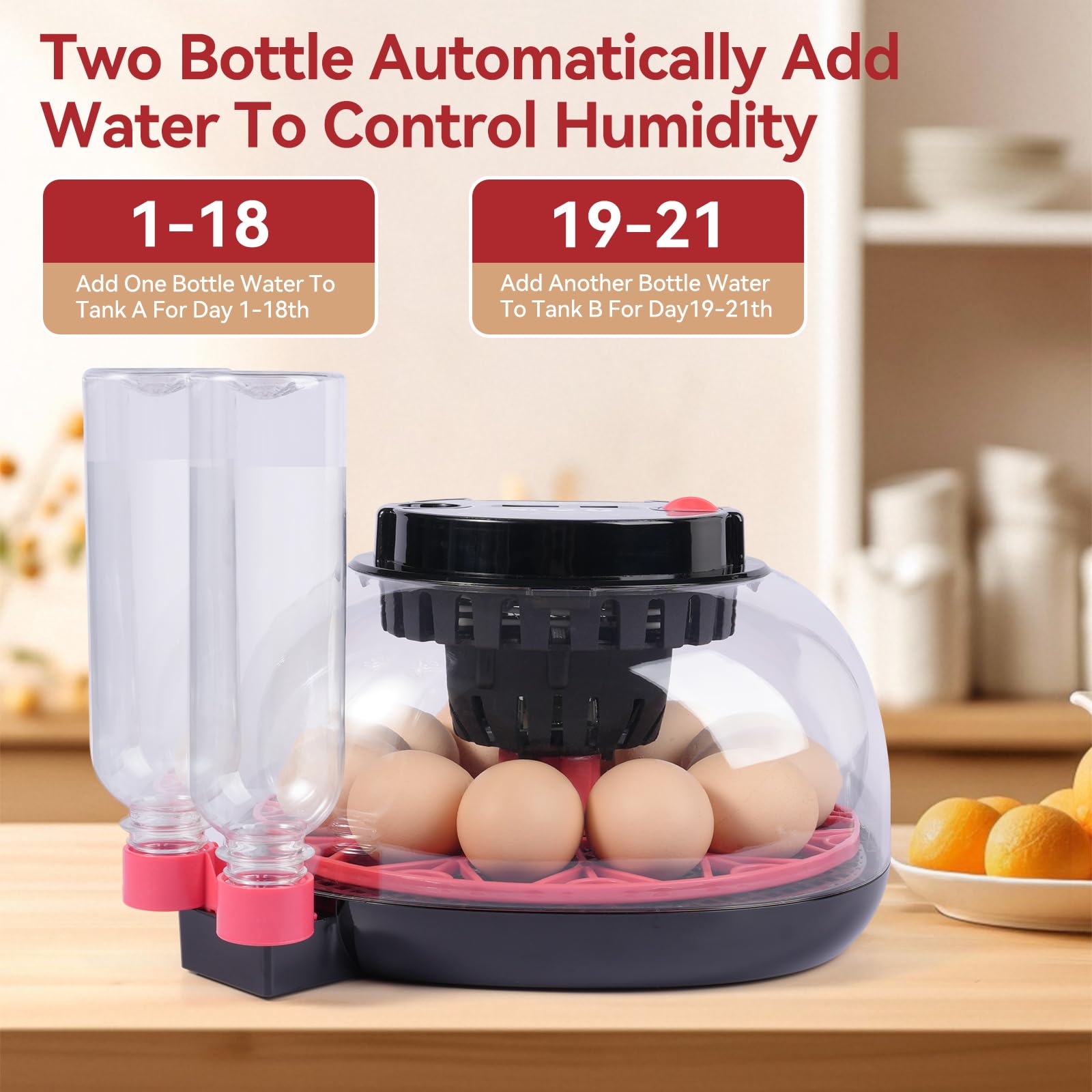 Clear view of eggs incubating in Humorrap 12 Egg Incubator