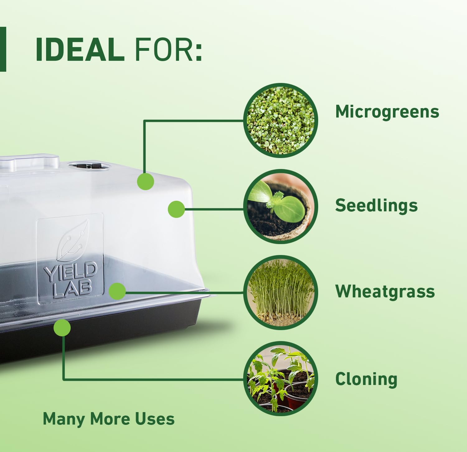 Clear Yield Lab clone dome showing plant growth inside