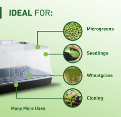 Clear Yield Lab clone dome showing plant growth inside