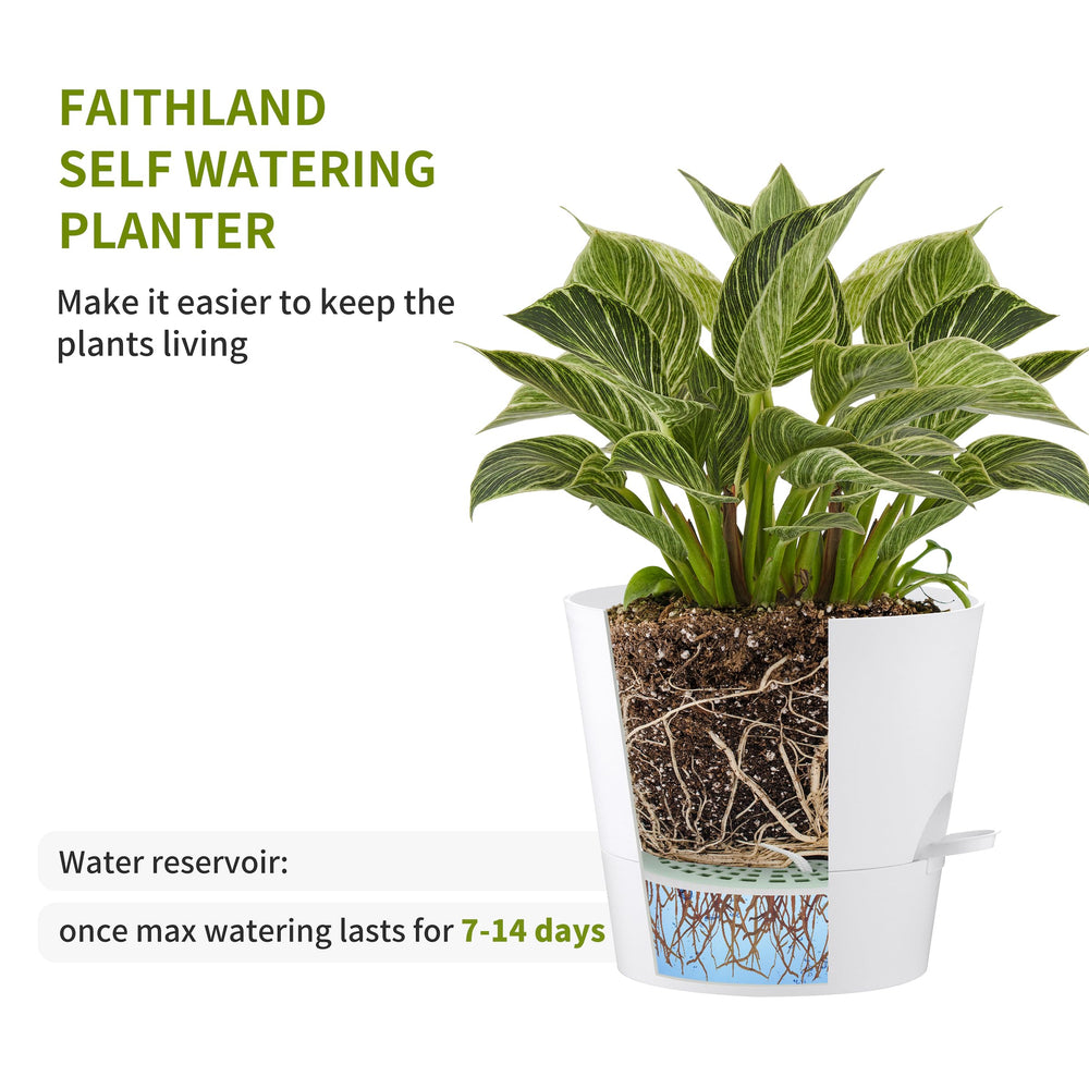 Clip-on watering lip for bottom watering on FaithLand planter
