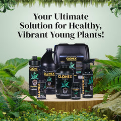 Clonex Rooting Gel 250ml usage demonstration with cuttings