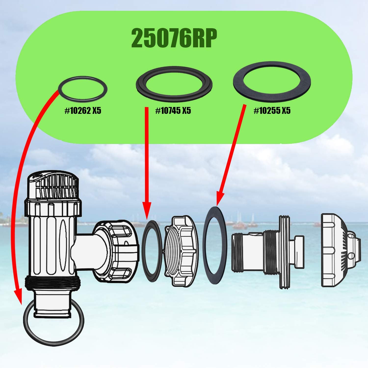 Close-up of 1-1/2 inch O Rings from SUNGIFT kit