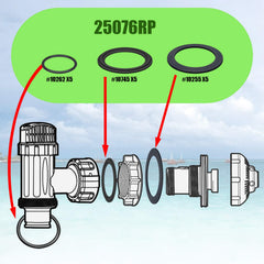Close-up of 1-1/2 inch O Rings from SUNGIFT kit