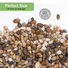 Close-up of 1/5 inch decorative pebbles