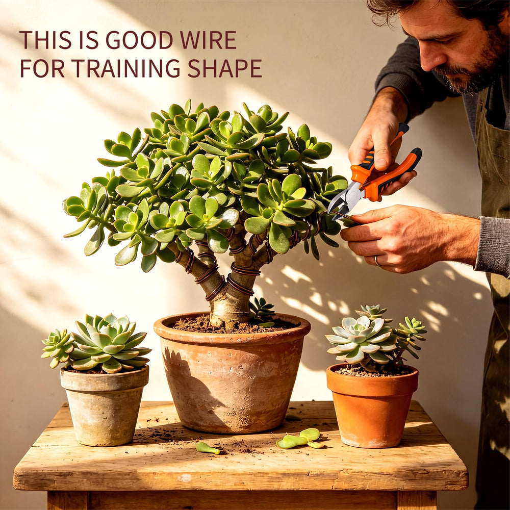 Close-up of 2.5 mm brown bonsai wire from Mudder