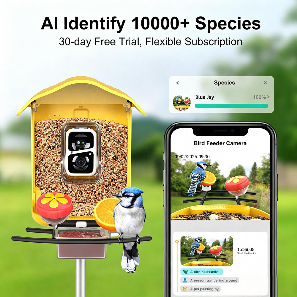 Close-up of 2K HD camera lens on birdsnap PAV Bird Feeder