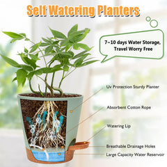 Close-up of 7-inch Vanslogreen self watering planter