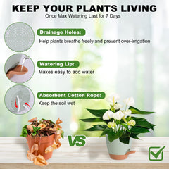 Close-up of 7 inch Vanslogreen self watering pot
