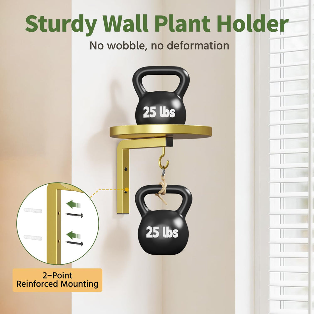 Close-up of 8-inch tray of LASZOLA Wall Mount Plant Shelf