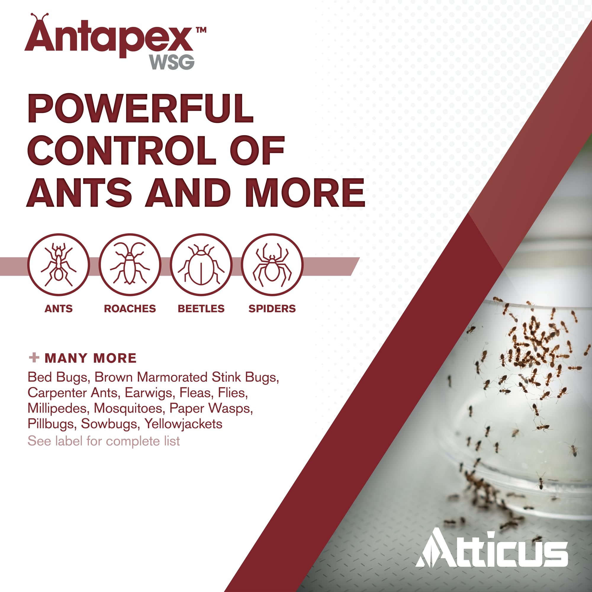 Close-up of a 10-gram packet of Antapex WSG Insecticide