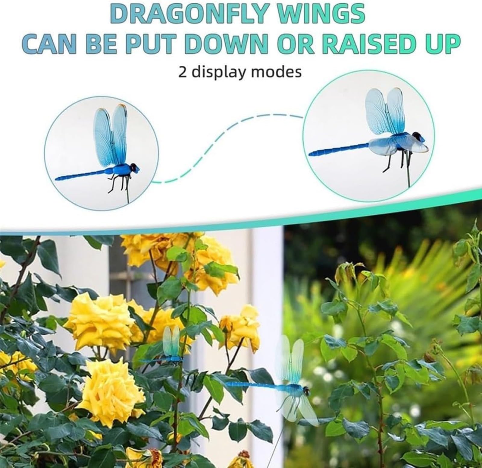 Close-up of a dragonfly clip showcasing flexible wings