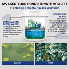 Close-up of a packet of Dr.Raifya's Pond Fresher solution