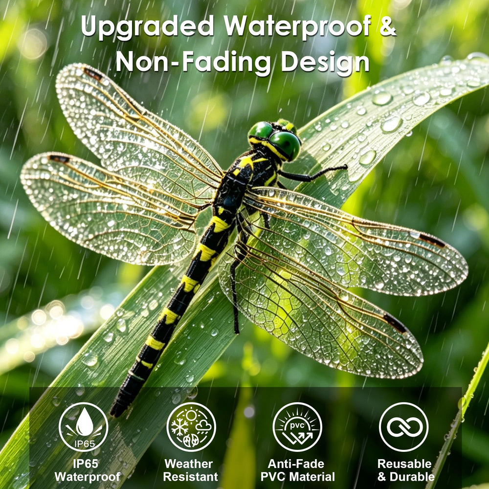 Close-up of a realistic 3D dragonfly clip with intricate details