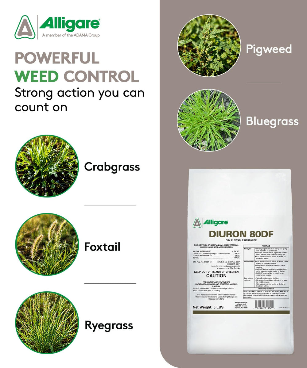 Close-up of ALLIGARE Diuron 80 DF Herbicide granules