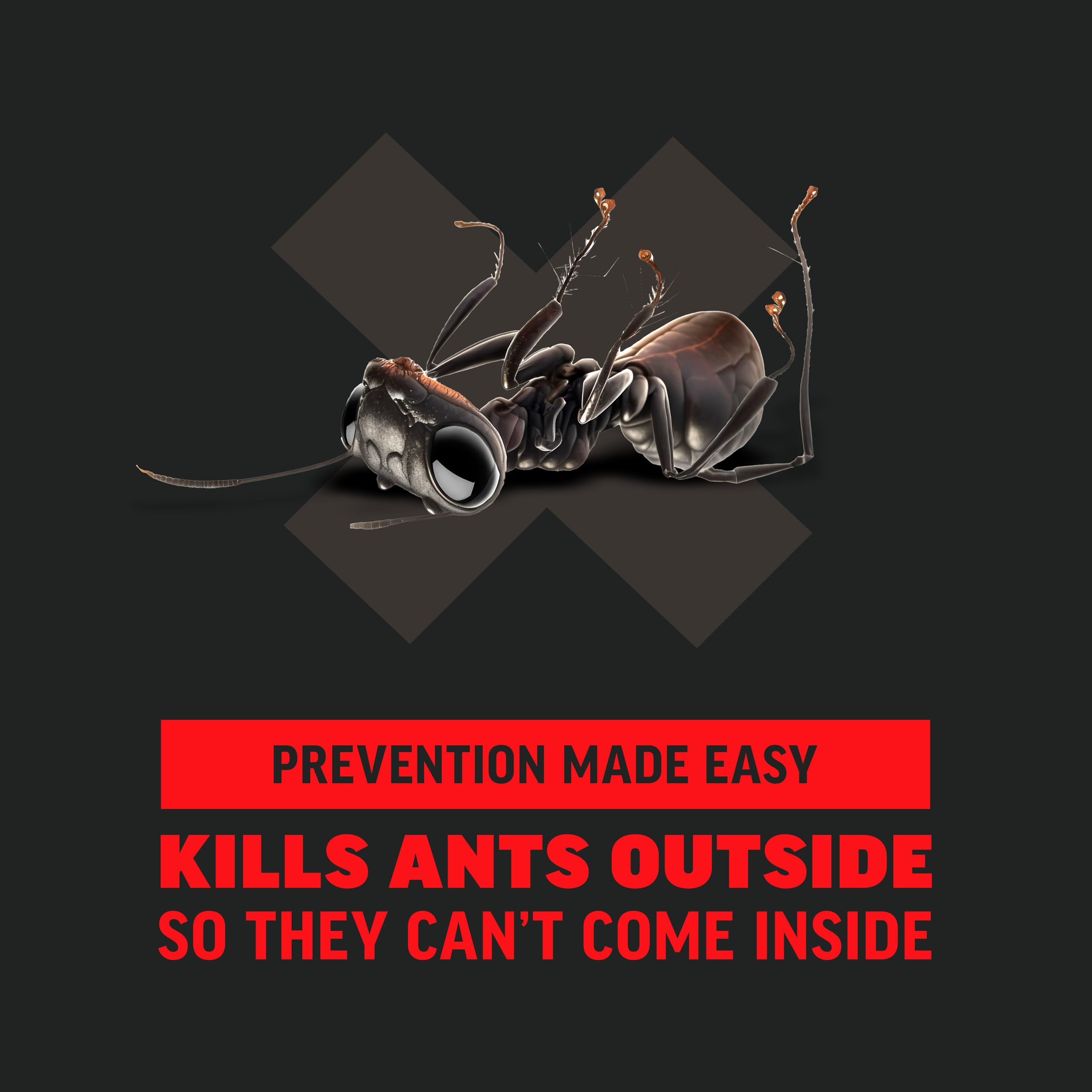 Close-up of Amdro Ant Killer Granules
