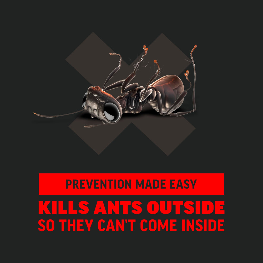Close-up of Amdro Ant Killer Granules