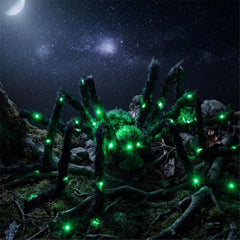 Close-up of Anditoy Halloween Spider's hairy texture