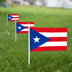Close-up of Anley Puerto Rico Mini Flag with vibrant print