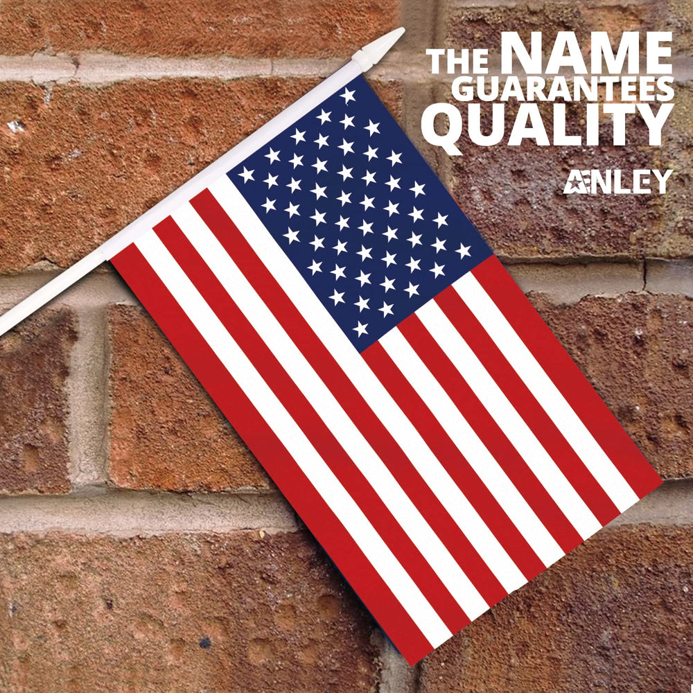 Close-up of Anley US National Mini Flag on a stick