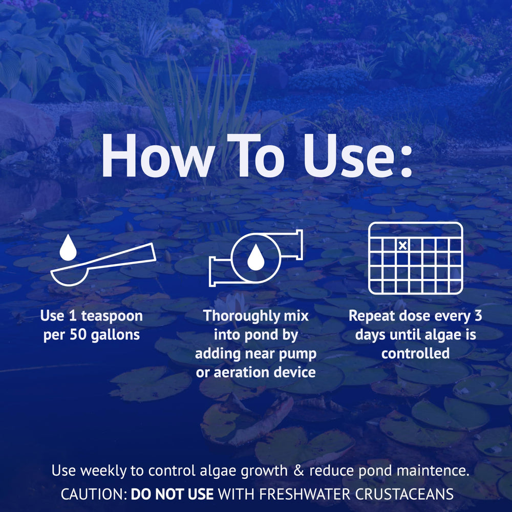 Close-up of API POND ALGAEFIX label and instructions