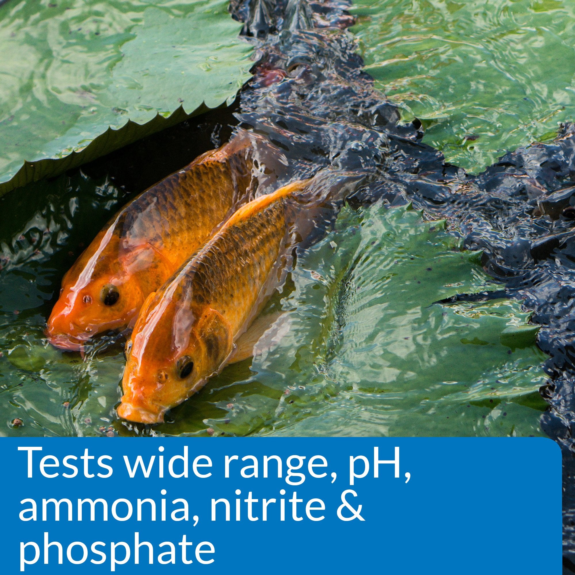Close-up of API Pond Master Test Kit color matching charts