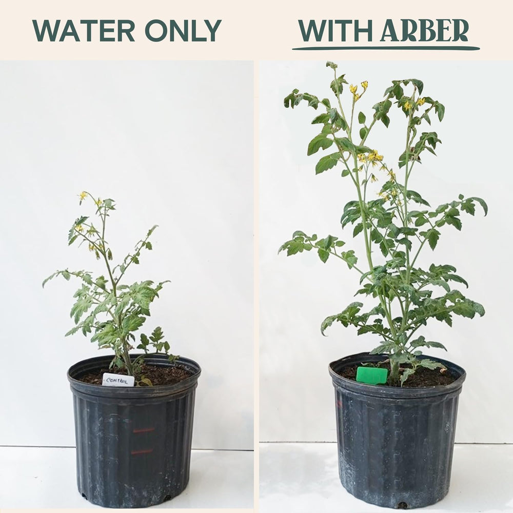 Close-up of ARBER Organic Plant Food Liquid Fertilizer pour spout